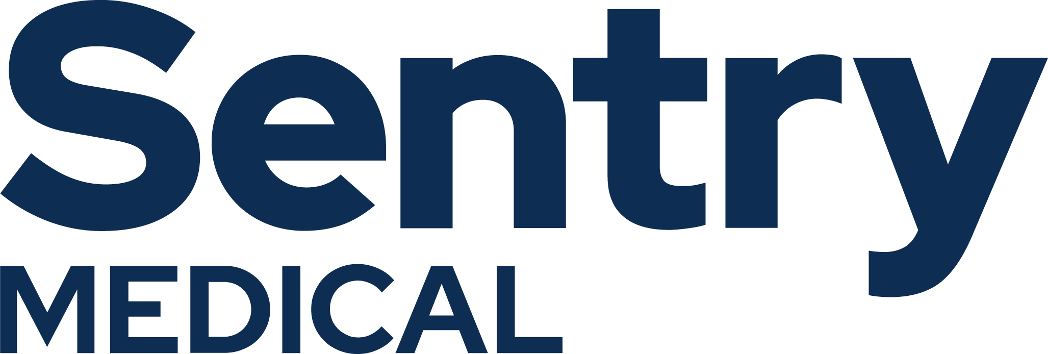 Sentry Logo no Icon PMS295.png