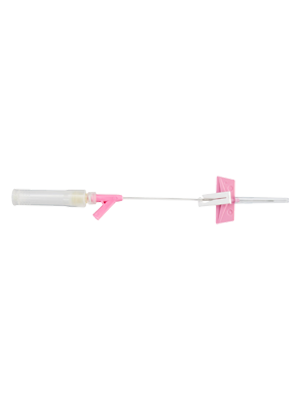 BD Saf-T-Intima™ Catheter Y Adp Pink, 20G x 1.0in ROW - Each