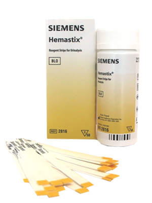 Hemastix® Urinalysis Test Strips - Box/50