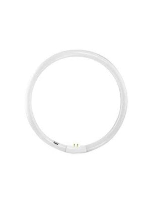 FLUORESCENT CIRCULAR 22W GLOBE